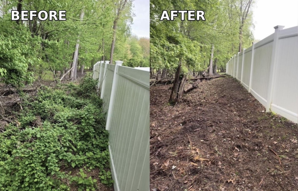 Before and after yard cleanup and brush removal project